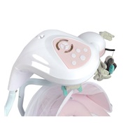 Detská hojdačka CARETERO Raffi Pink