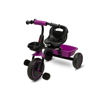 Detská trojkolka Toyz LOCO purple