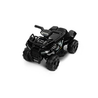 Elektrická štvorkolka Toyz Mini Raptor black