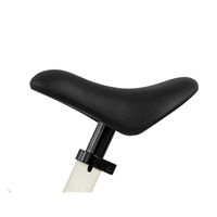Detský balančný bicykel Milly Mally Ranger White