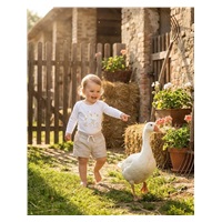 Detské body s potlačou New Baby Husičky