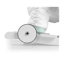 Hojdací koník s melódiou a kolieskami Milly Mally Polly Jednorožec