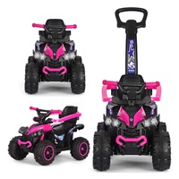 Detské odrážadlo s vodiacou tyčou Milly Mally Wild 3v1 pink
