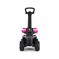 Detské odrážadlo s vodiacou tyčou Milly Mally Wild 3v1 pink