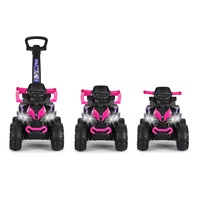 Detské odrážadlo s vodiacou tyčou Milly Mally Wild 3v1 pink